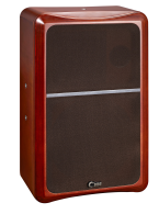 鄭州CBBE CT20A FL/FR前主揚聲器